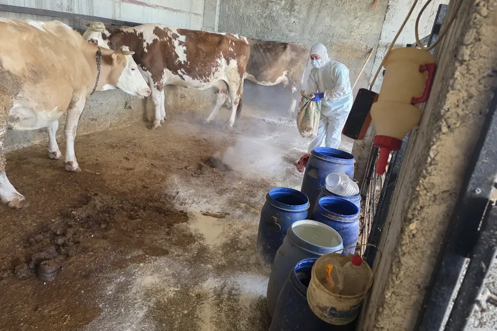 Adıyaman’da Zoonoz Hastalıklara Karşı Aşılama Çalışmaları Sürüyor
