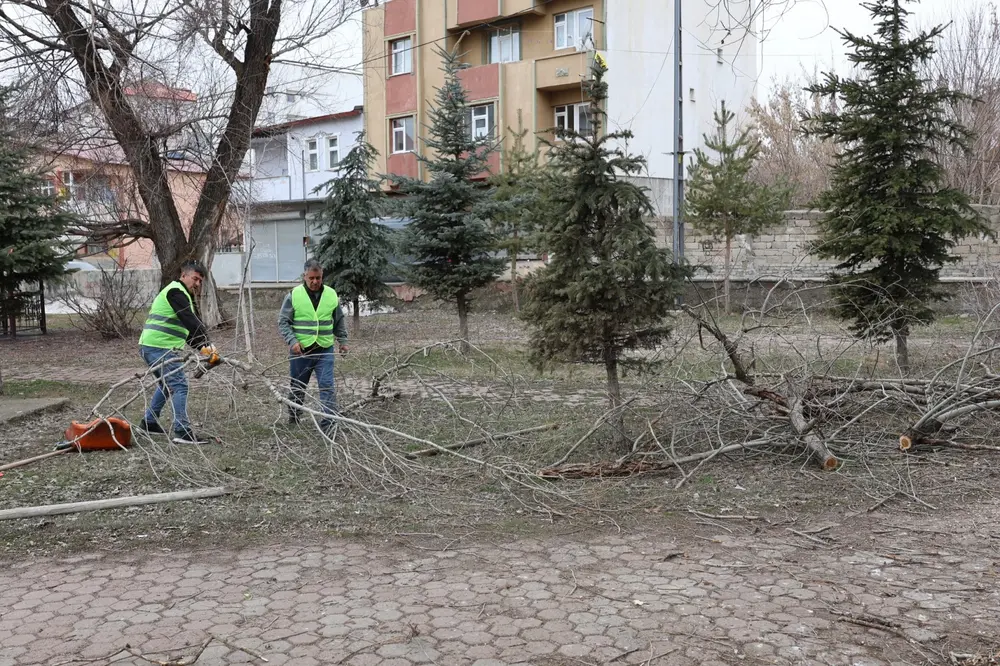 Ağrı Belediyesi Yeşil Alanlarda Bakım ve Yenileme Çalışmalarını Sürdürüyor