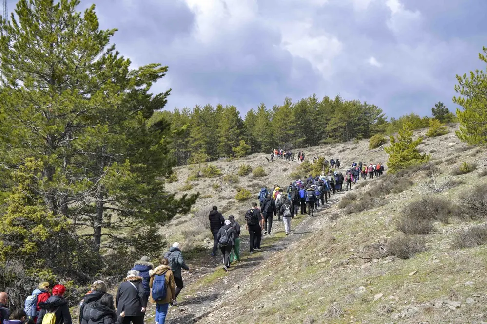 Ankara'da Ücretsiz Doğa Yürüyüşü: Kızılcahamam Şahinler Tabiat Parkı Etkinliği