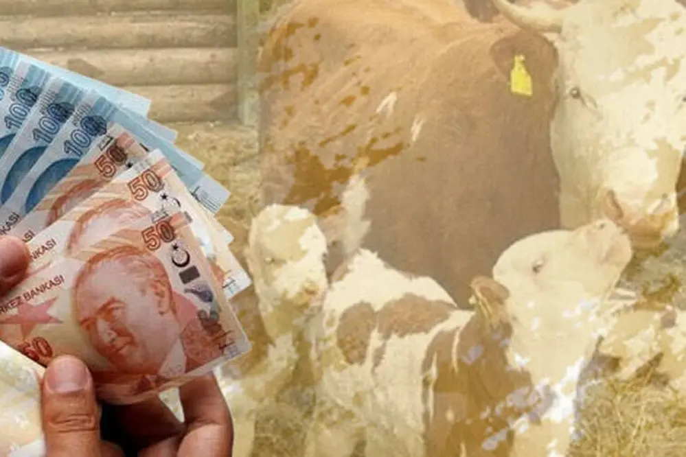 Bakan Yumaklı: 10,7 Milyar TL Tarımsal Destek Ödemesi Çiftçi Hesaplarına Aktarılıyor