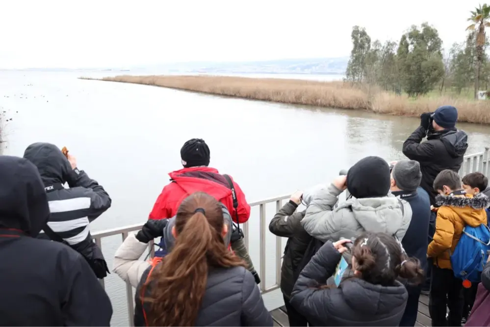 İzmit Körfezi'nde 3. Flamingo Şenliği Gerçekleştirildi: 39 Kuş Türü Tespit Edildi