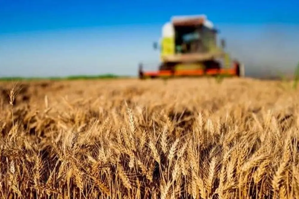 Kırsal Kalkınma Yatırımlarına Yüzde 70'e Varan Hibe Desteği Sağlanıyor
