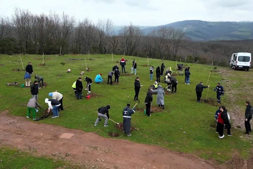 Kocaeli'nde Fidan Dikim Etkinliğinde Engelsiz Katılım Gerçekleştirildi