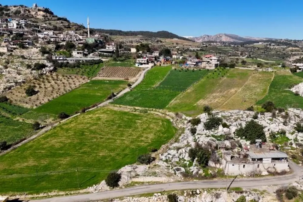 Mersin'de Nergis Soğanı Dağıtım Projesi Üreticilere Destek Sağlıyor