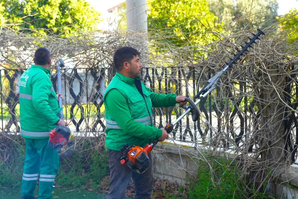 Milas'ta Yeşil Alan Bakım Çalışmaları Sürüyor