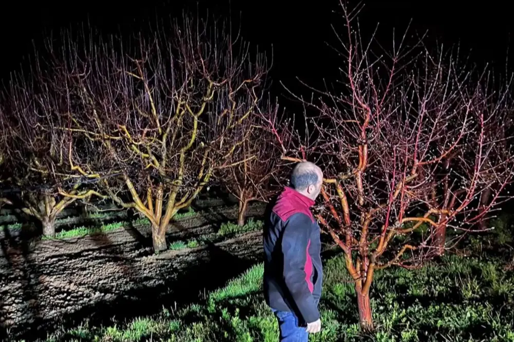 Tarım ve Orman Bakanlığı'ndan Zirai Don Riski Uyarısı: 11 Nisan'a Kadar Etkili Olacak