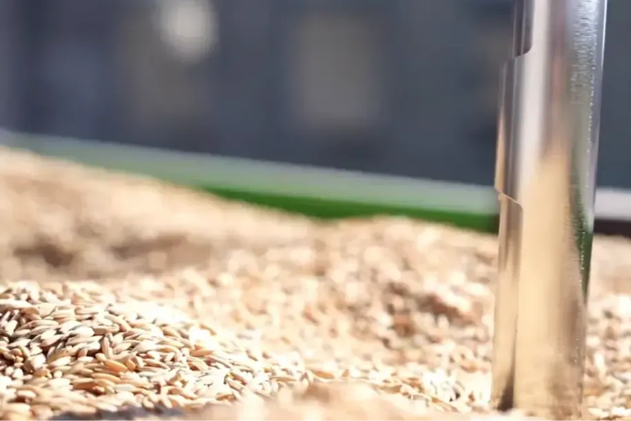 TMO Çeltik Alım Kampanyasını Sürdürüyor