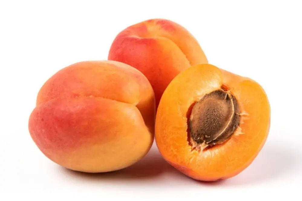 Türkiye Tarım Yeterlilik Oranları: Kayısı ve Zerdali Yüzde 594,9 ile Önde